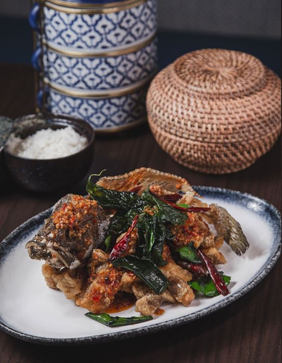 Grouper at Chom Sindh