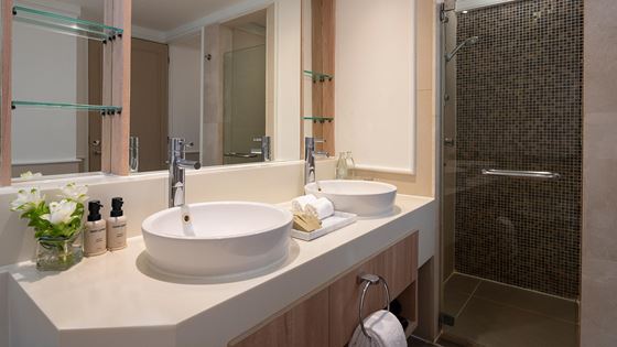 deluxe_bathroom-shower