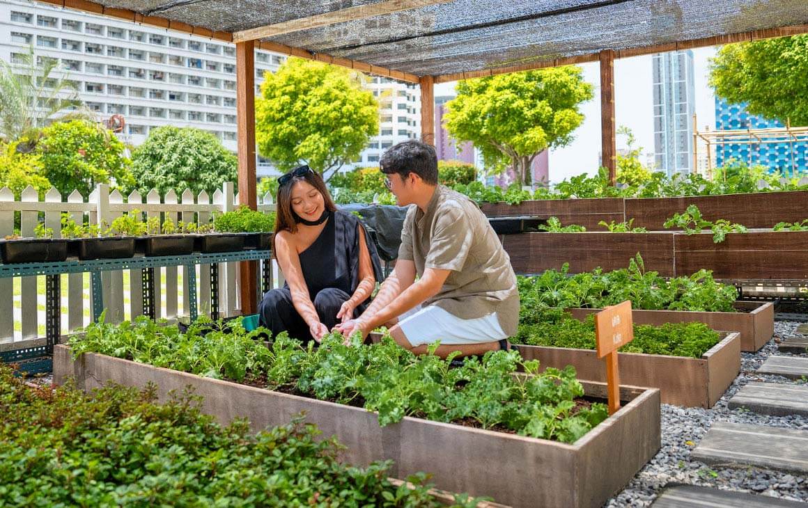 Steps Towards a Greener Future - Amari Bangkok