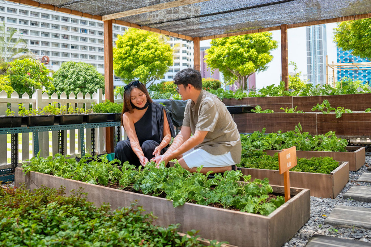 Steps Towards a Greener Future - Amari Bangkok