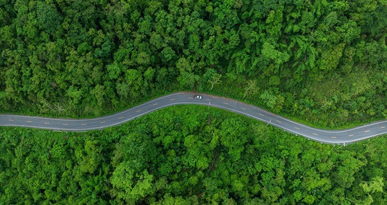 Path to #SustainablyConscious - Амари Бангкок
