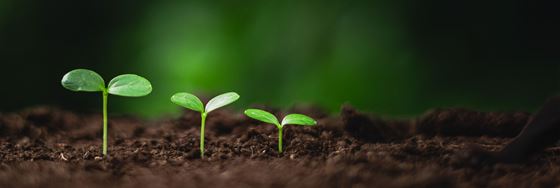 Sustainable Strategy and Management - Amari SPICE Penang