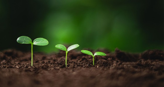 Sustainable Strategy and Management - Амари Бангкок