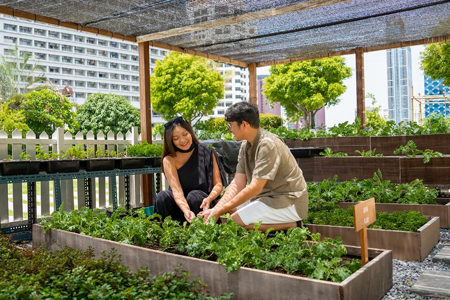 Our Herb Garden Story