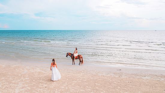 Horseback riding