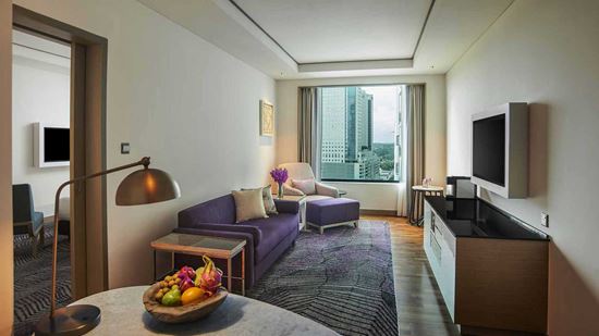 Living room in One Bedroom Suite Living room in One Bedroom Suite