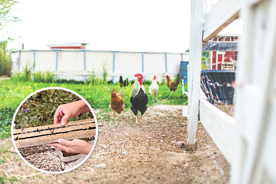 Combat Food Waste Combat Food Waste