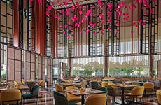 Amaya Food Gallery