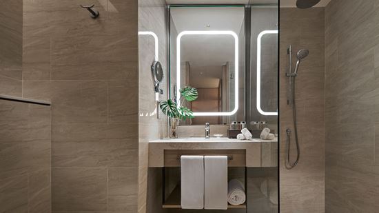 Deluxe Room Bathroom 1