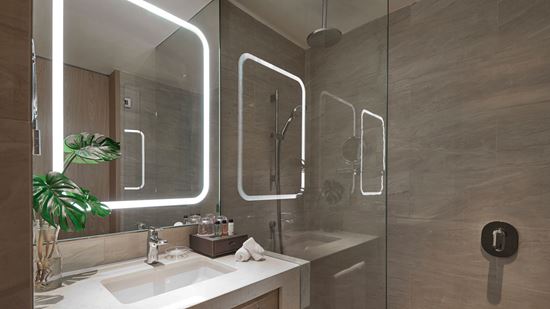 Deluxe Room Bathroom 1