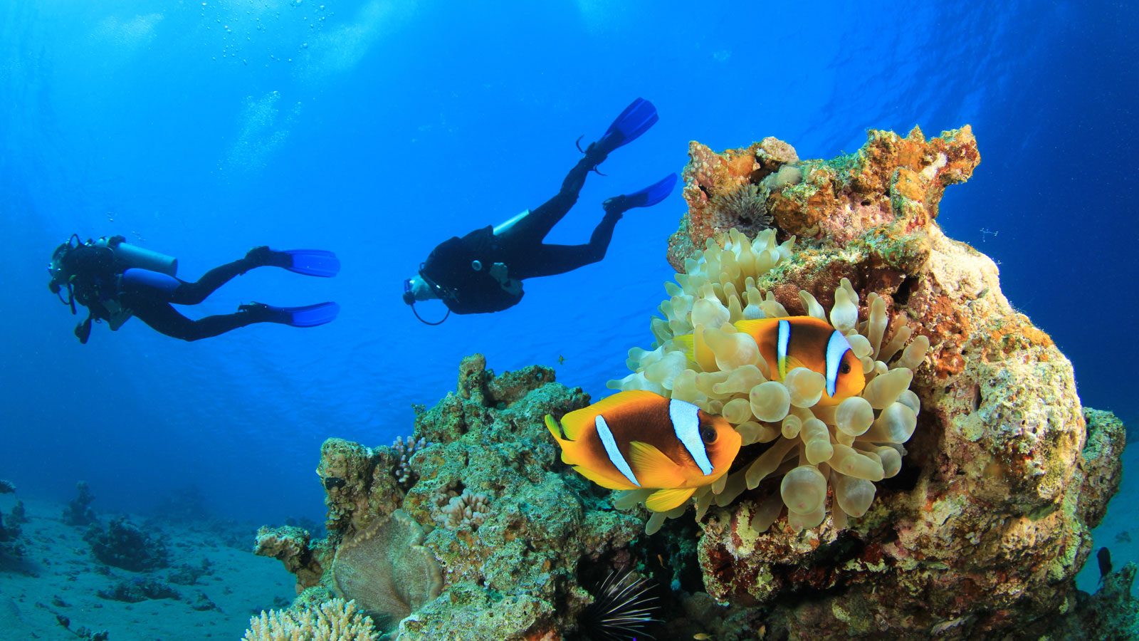 Scuba Diving Centre - 布吉阿瑪瑞度假酒店