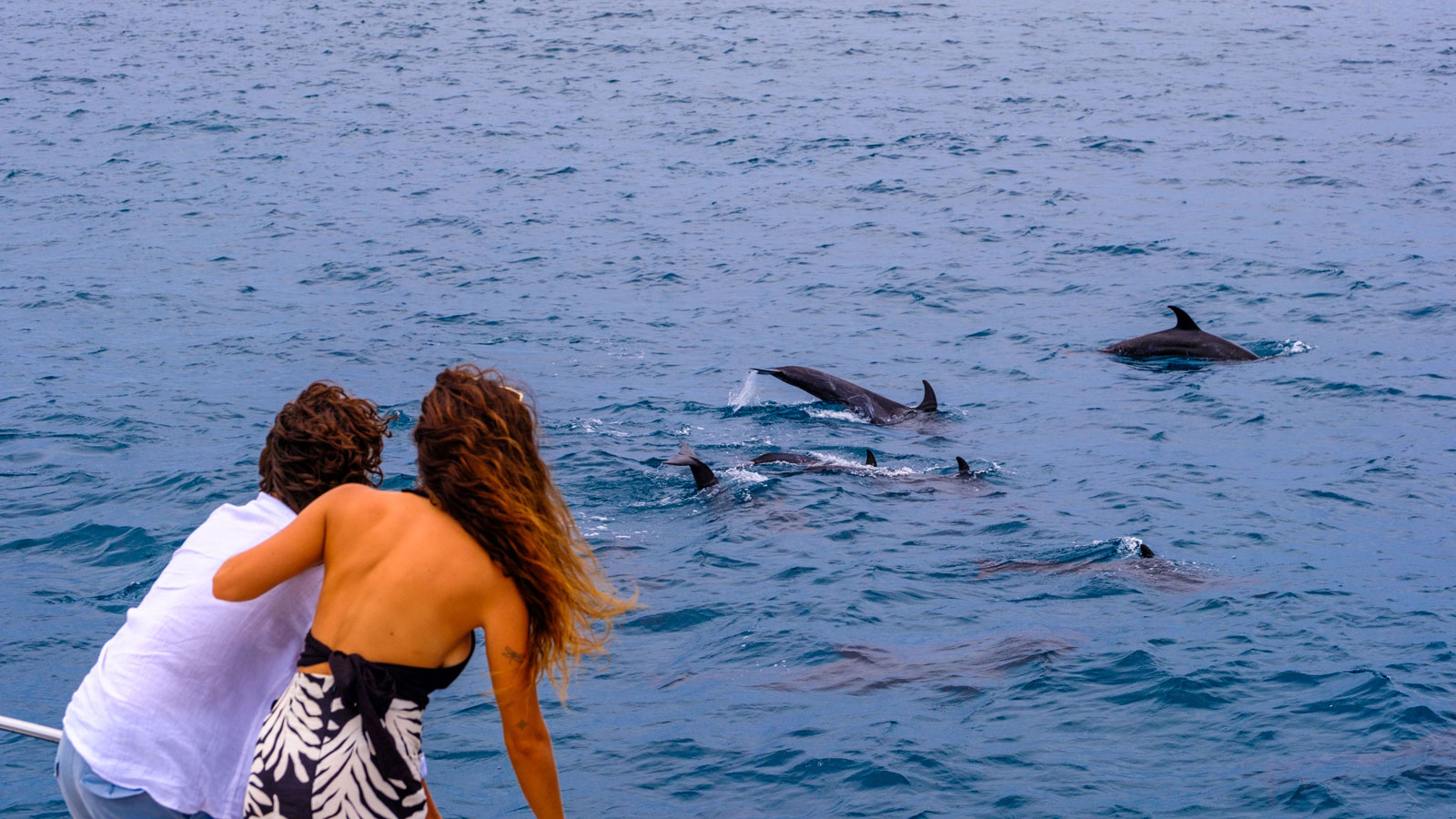 Dolphin cruise - منتجع أماري رايا جزر المالديف