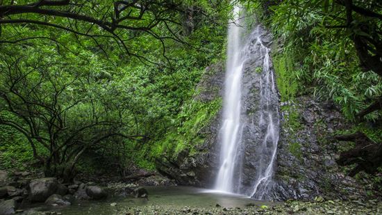Bottom view of Kaeng Nyui Waterfall Bottom view of Kaeng Nyui Waterfall