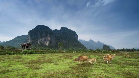 Karst mountains and surroundings Karst mountains and surroundings