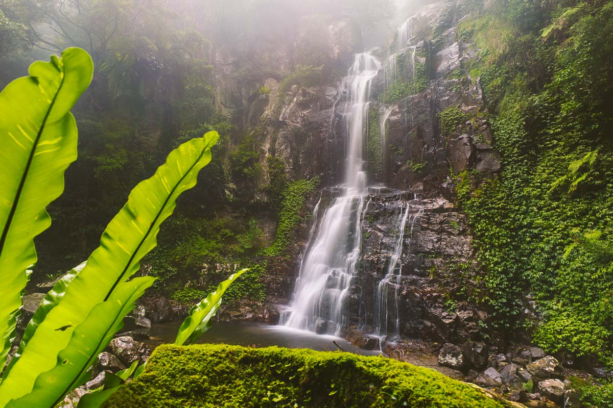 Revitalising Naturescape - Amari Vang Vieng