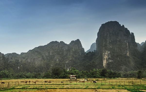 Just Where You Need To Be - Amari Vang Vieng