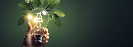 พลังงานแสงอาทิตย์ - อมารี วังเวียง