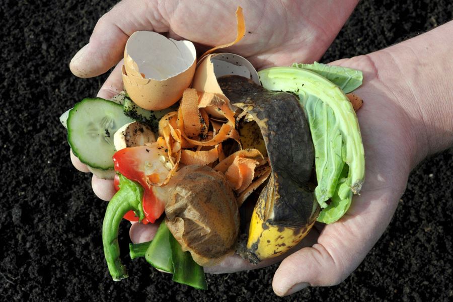 From Kitchen to Compost