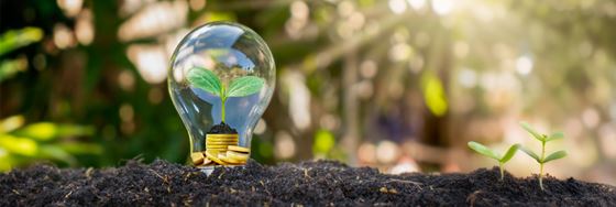 เสาหลักด้านพลังงาน - อมารี เวียงจันทน์