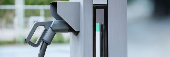 เส้นทางสีเขียวของผู้เข้าพัก - อมารี เวียงจันทน์