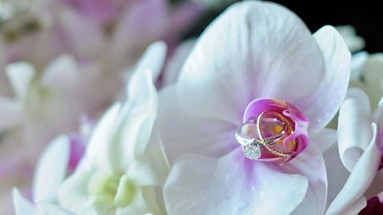 Weddings and Special Events Weddings and Special Events