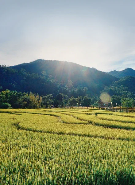 Baan Krating Pai Resort Baan Krating Pai Resort
