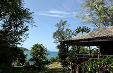 Deluxe Beachfront