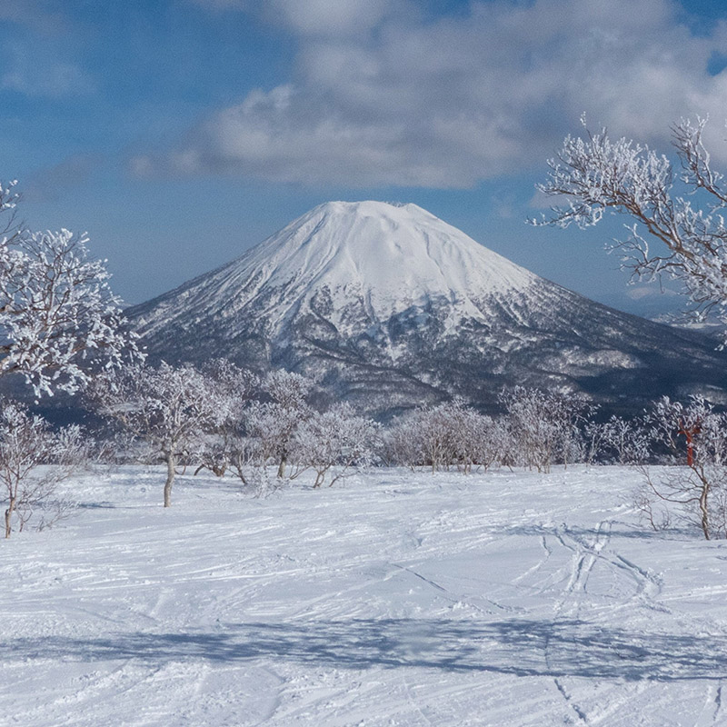 Amari Niseko Amari Niseko
