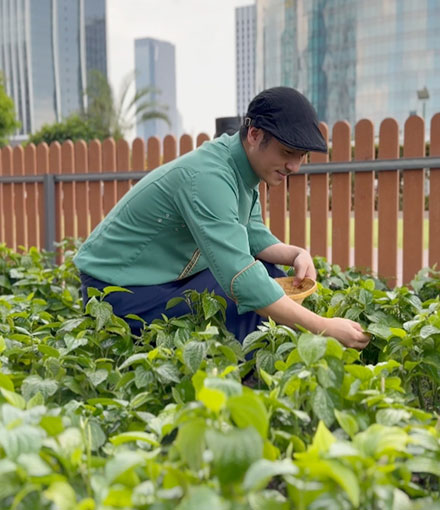 Sustainably Conscious Dining