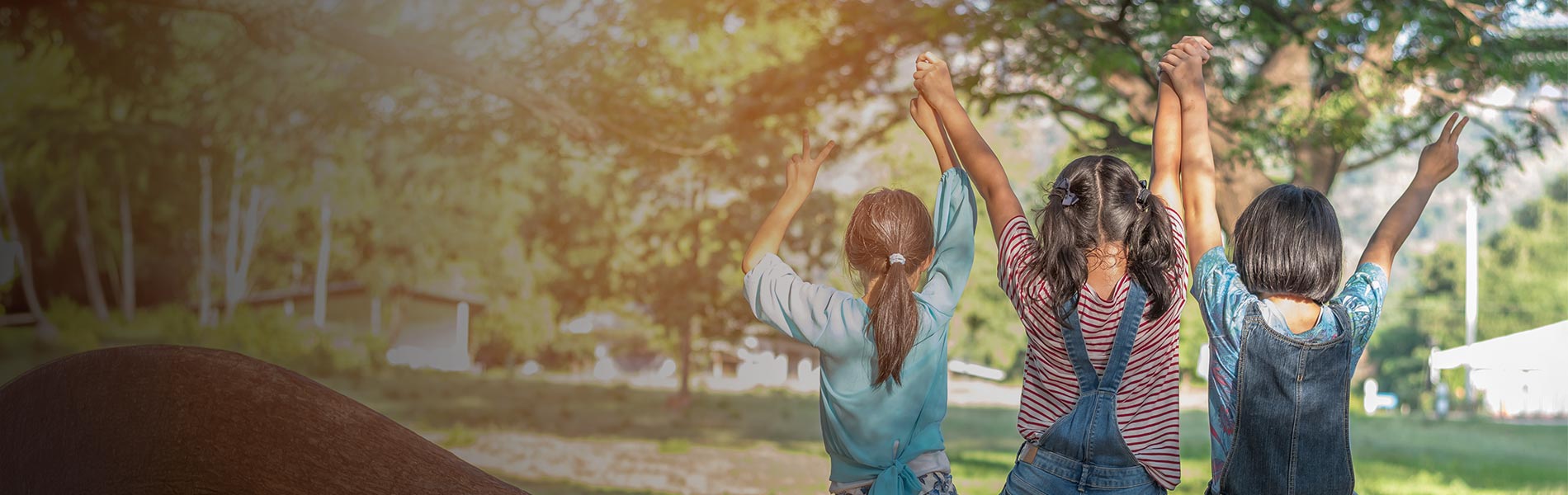 Foundation & Long-Term Impact