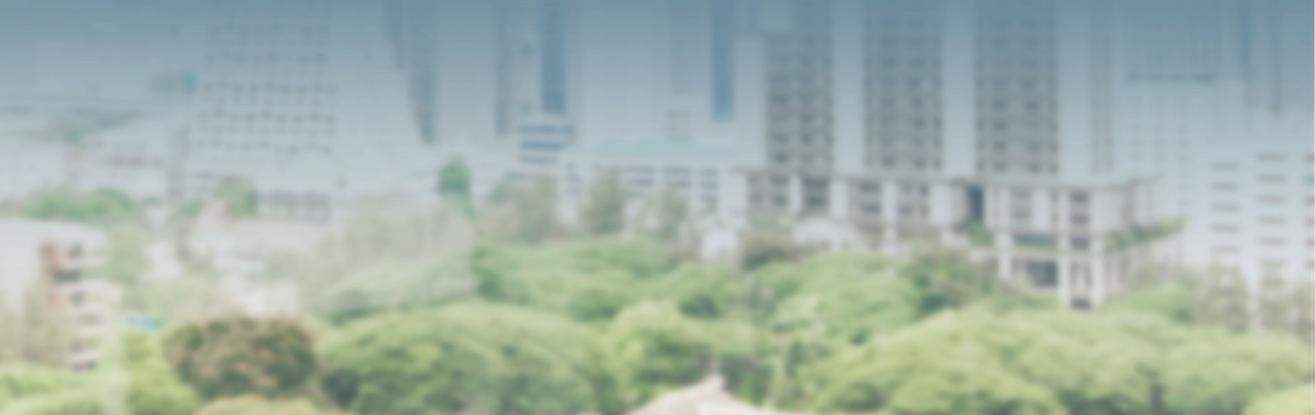 โปรโมชั่น โปรโมชั่น