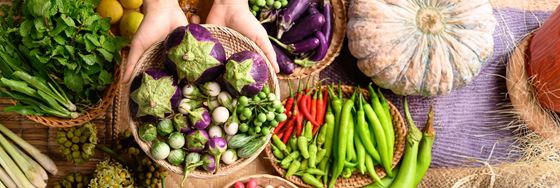 Sustainably Conscious Dining - Oriental Residence Bangkok