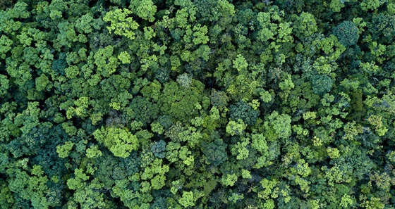 Environmental Policy - 曼谷東臨儷舍