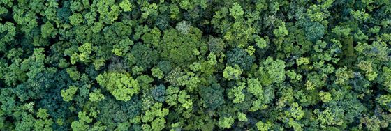 Environmental Policy - Oriental Residence Bangkok
