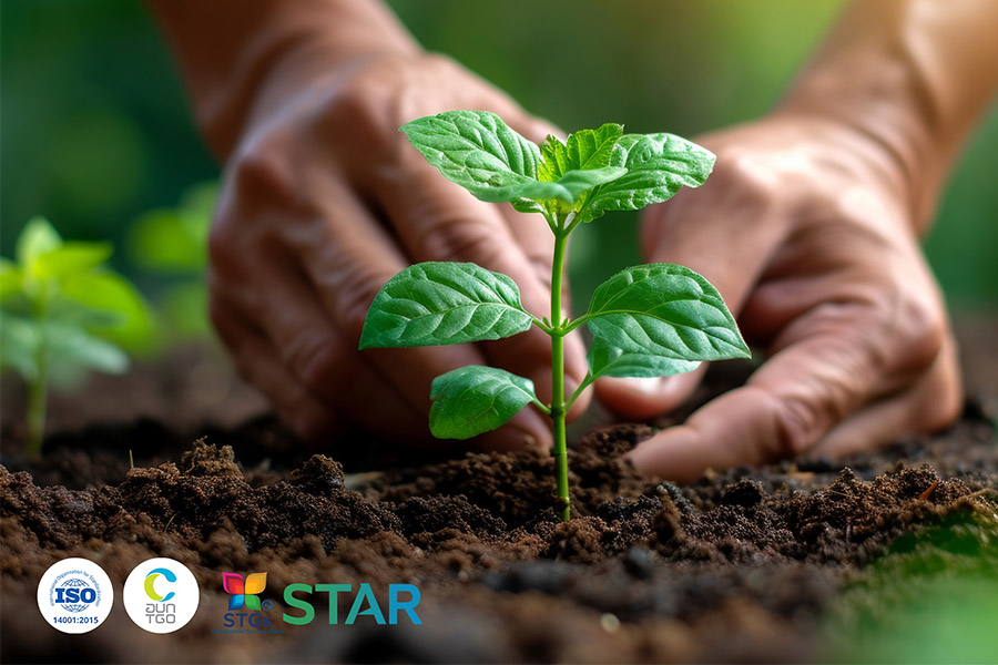 Sustainably Conscious Environment