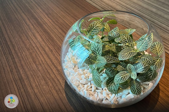 Sustainably Conscious Meeting