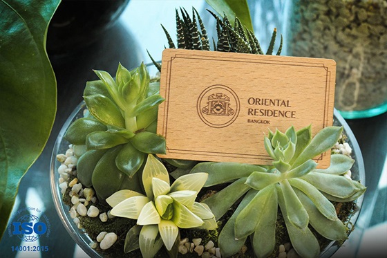 Sustainably Conscious Stay
