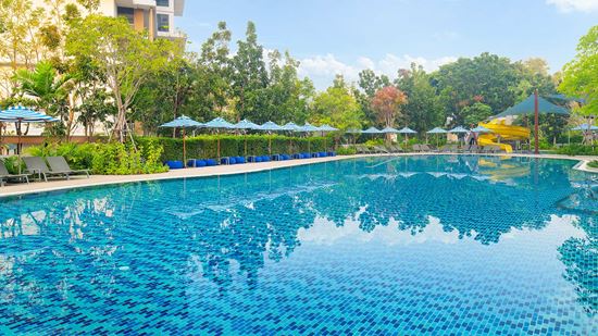 SPLASH Swimming Pool - Main Pool SPLASH Swimming Pool - Main Pool