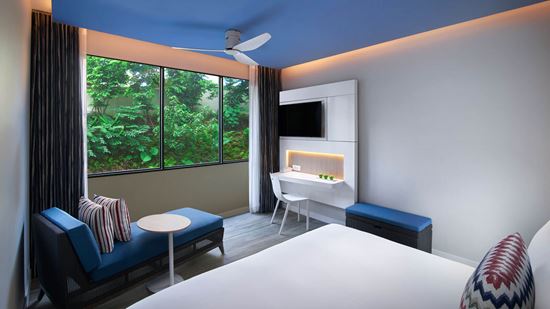 Superior King Superior King