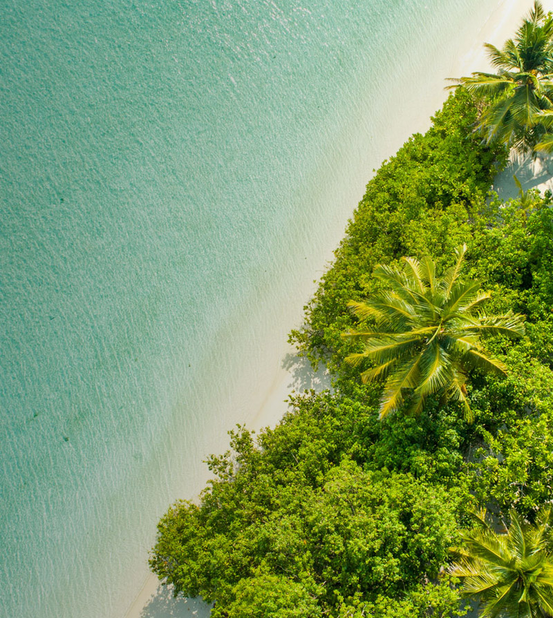 - OZO Phuket  - OZO Phuket