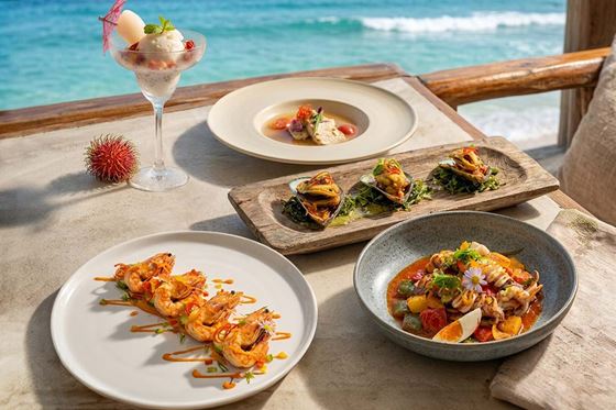 60th anniversary - Surat Thani – Sea • Taste • Soul - โอโซ่ เฉวง สมุย