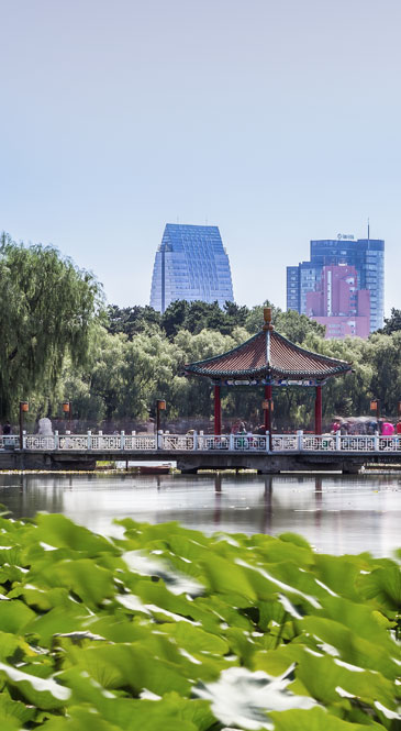 Changchun Changchun