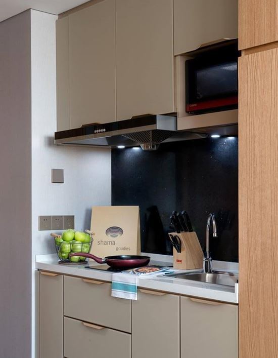 Studio Kitchenette Studio Kitchenette