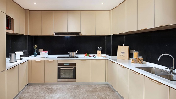 Three Bedroom - Kitchen - 샤마 다칭 하이룽장