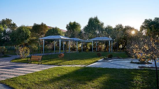 Outdoor garden Outdoor garden