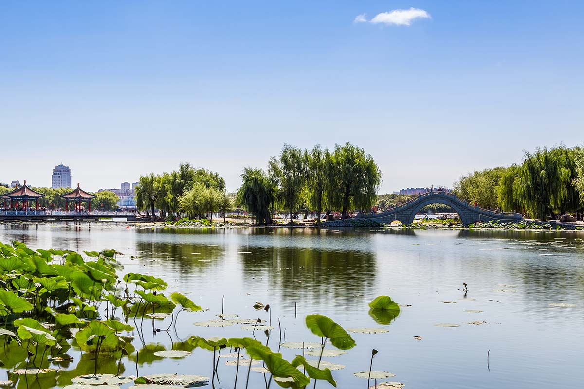 Exceptionally Cool - Shama Hub New City Changchun