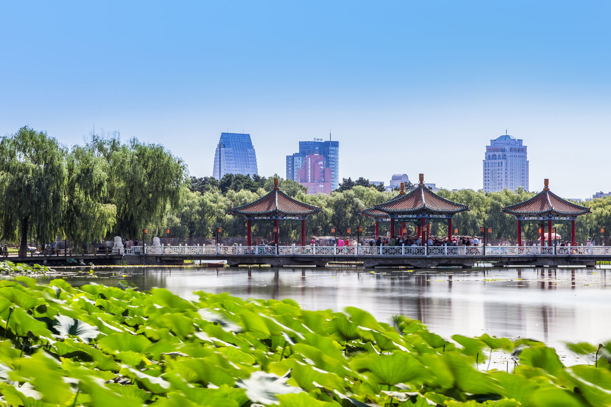 Setting Designed for Freedom - Shama Hub New City Changchun