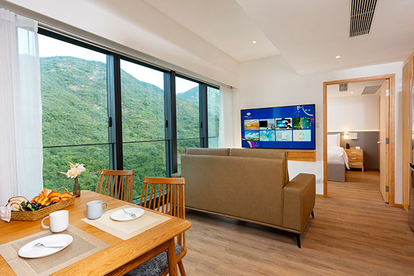 One Bedroom Mountain View