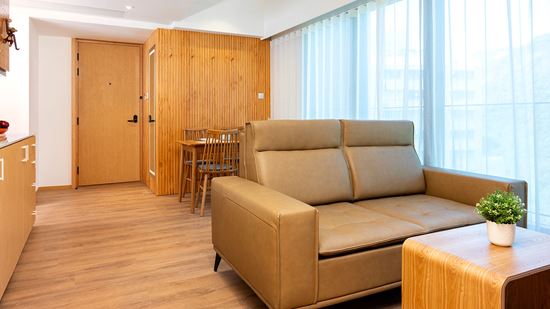 One Bedroom Mountain View - Living Area