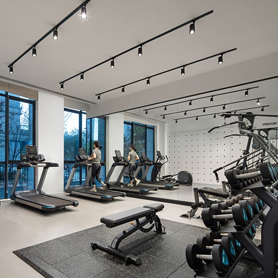 فاكس - Shama Hub Qiantang